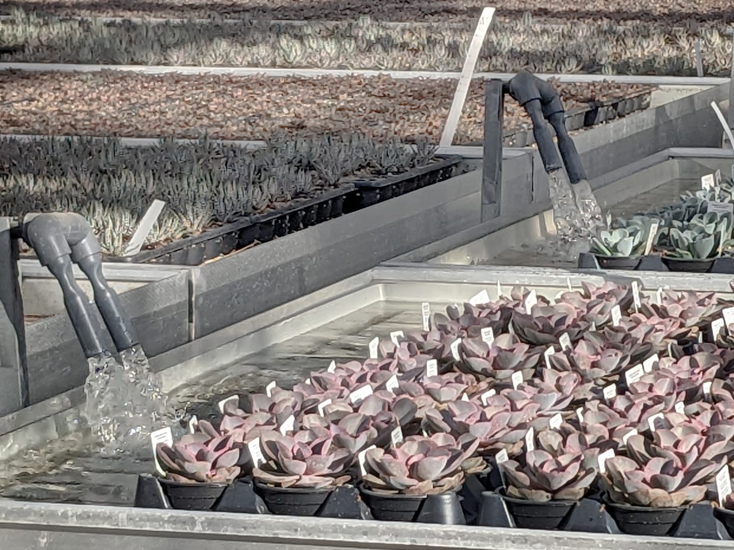 floodtable_1440x1080