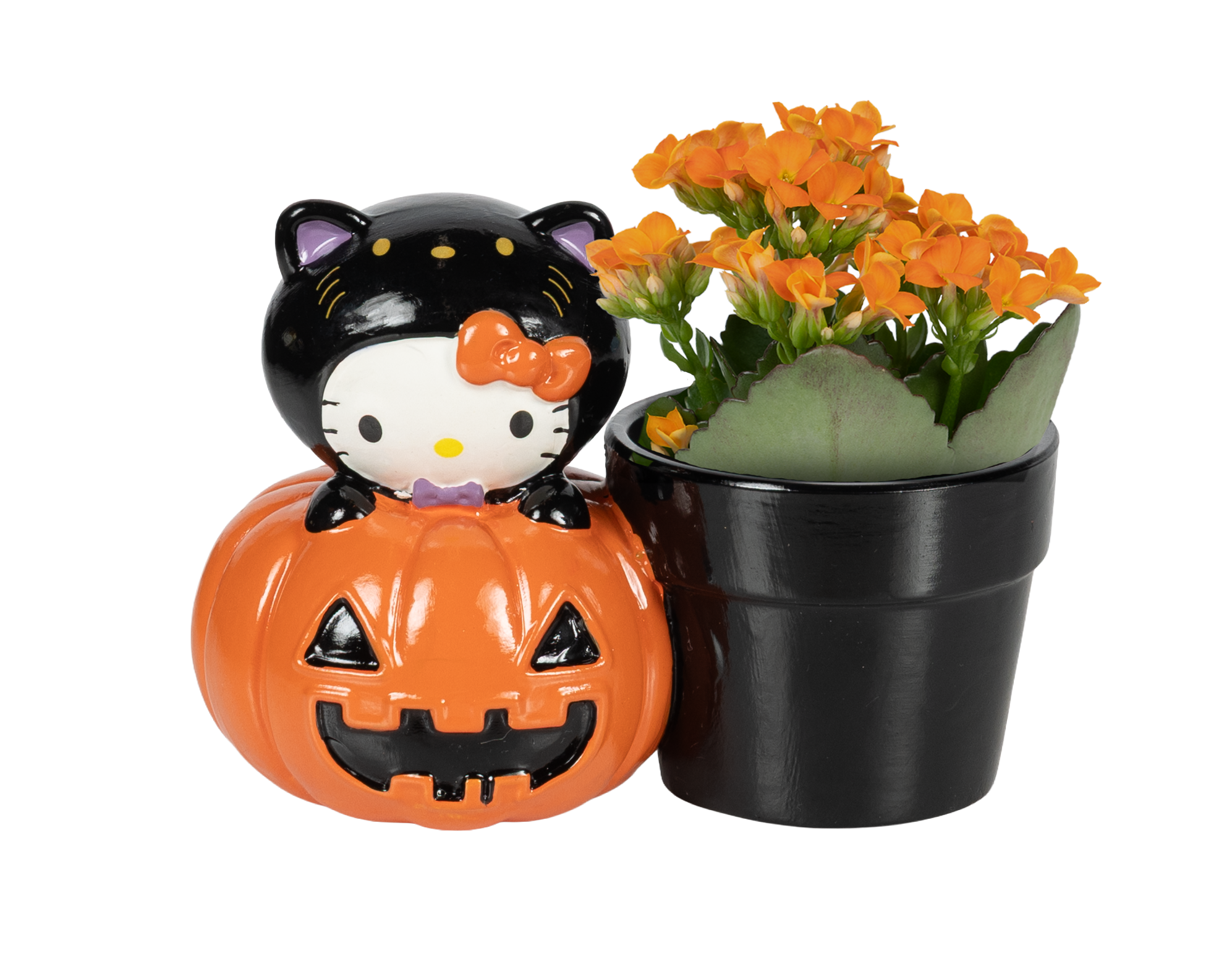25_KAL-OR_HK-Pumpkin_Halloween_Y26_V01