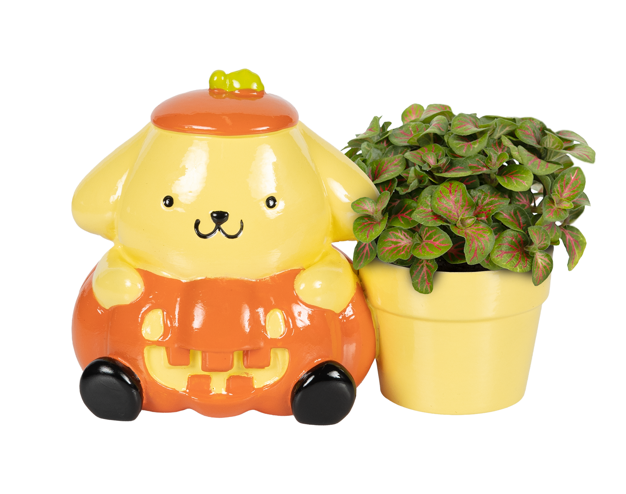 pompompurin